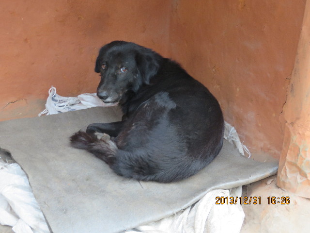 ファイル 4015-4.jpg