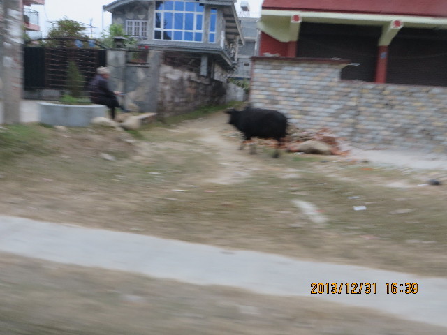 ファイル 4016-2.jpg