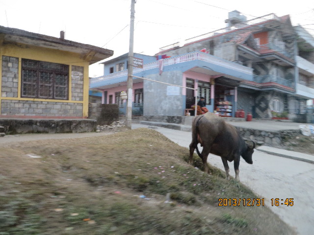 ファイル 4016-3.jpg