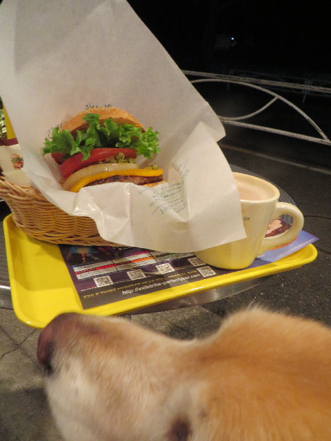 ファイル 4023-1.jpg