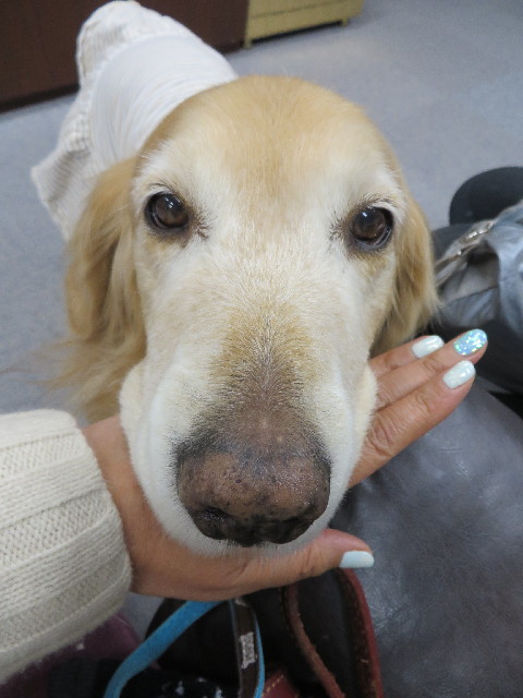 ファイル 4023-2.jpg