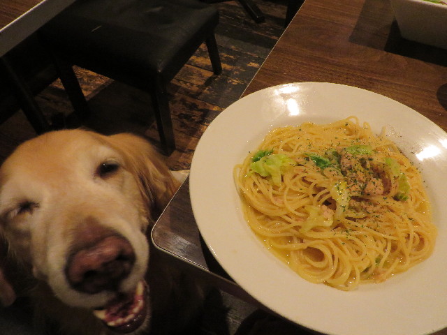 ファイル 4023-3.jpg