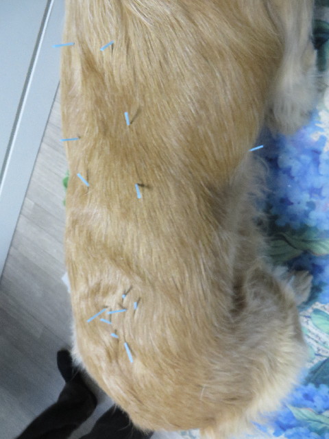 ファイル 4023-4.jpg