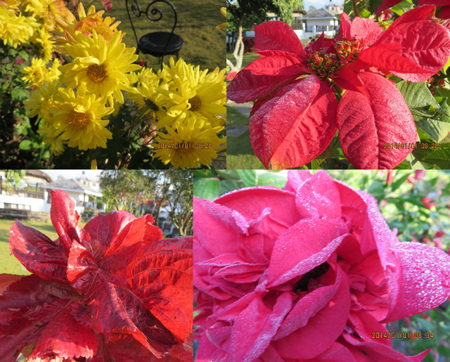 ファイル 4026-5.jpg