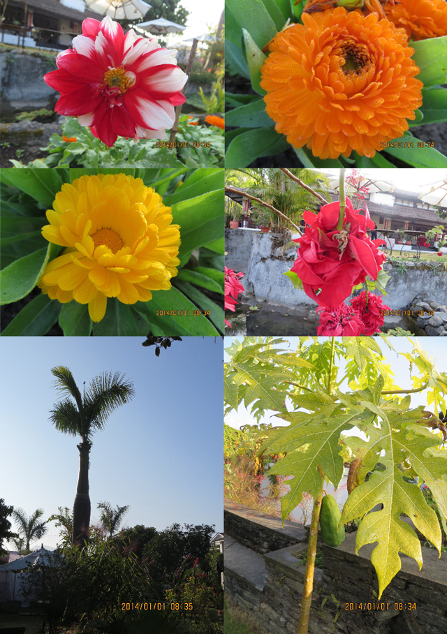 ファイル 4027-4.jpg