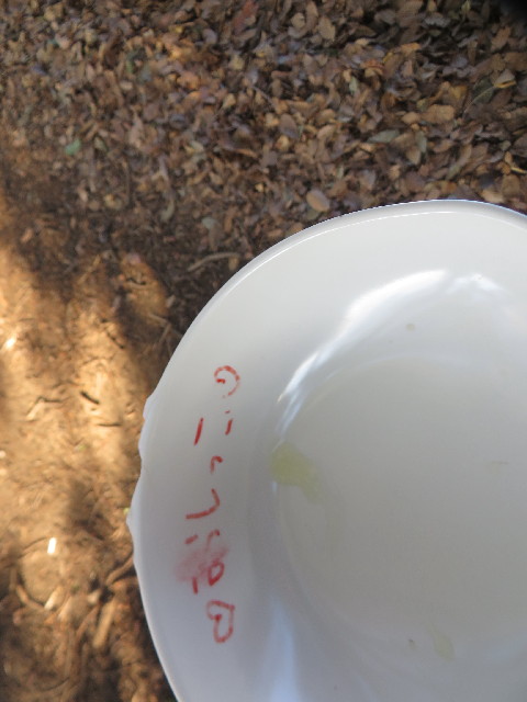 ファイル 4029-2.jpg