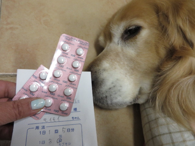 ファイル 4029-4.jpg