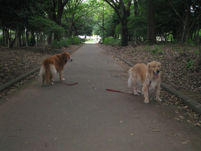 ファイル 403-3.jpg