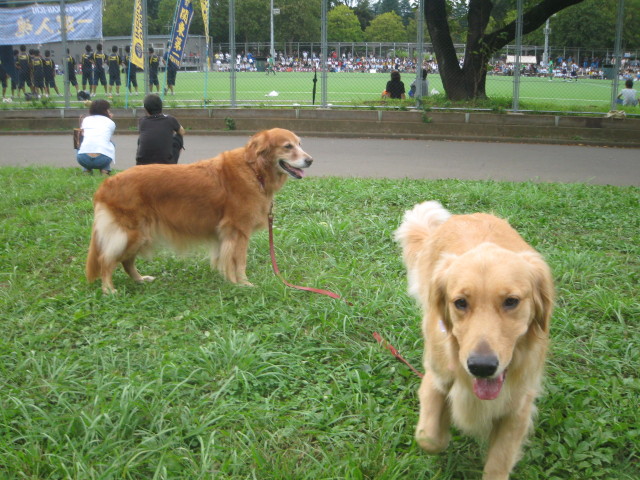 ファイル 403-4.jpg