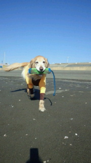 ファイル 4030-2.jpg