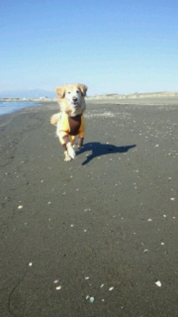 ファイル 4030-3.jpg