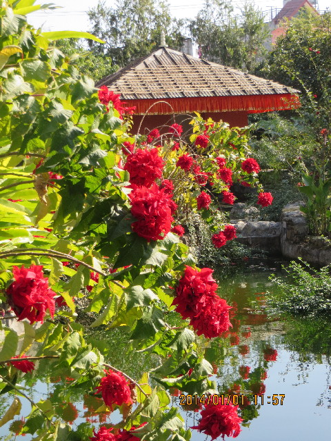 ファイル 4031-3.jpg