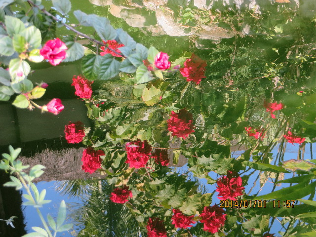 ファイル 4031-4.jpg