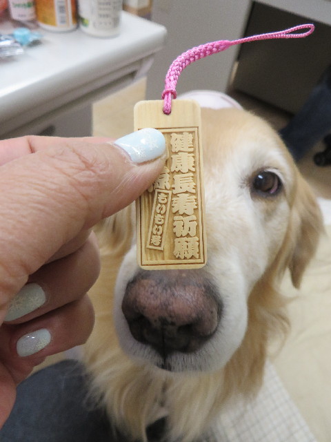 ファイル 4034-2.jpg