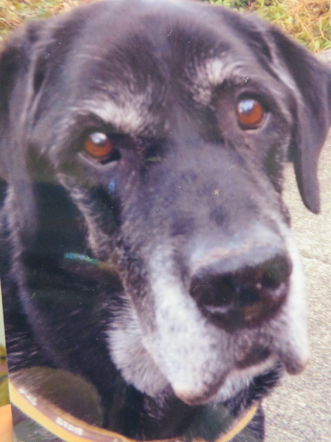 ファイル 4043-2.jpg