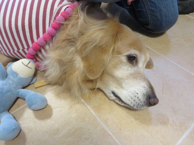 ファイル 4043-4.jpg