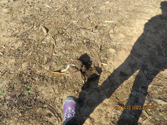 ファイル 4046-5.jpg