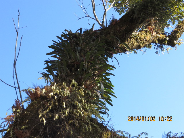 ファイル 4048-3.jpg