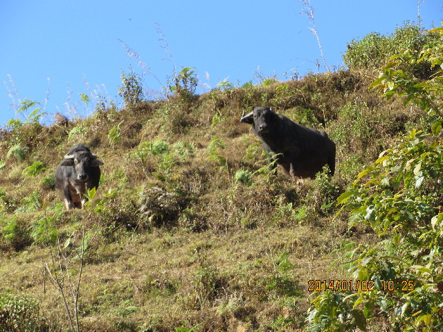 ファイル 4049-2.jpg