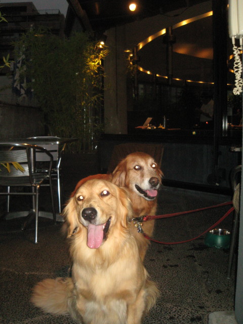 ファイル 405-1.jpg