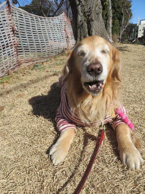 ファイル 4054-1.jpg