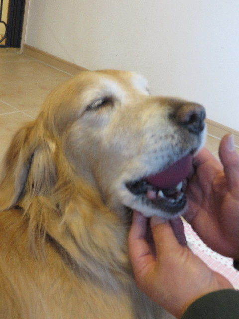 ファイル 4054-4.jpg