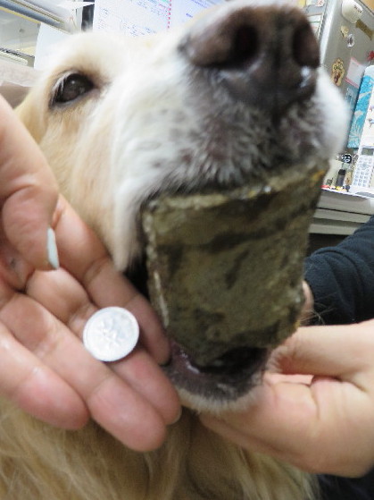 ファイル 4054-5.jpg