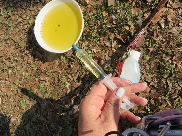 ファイル 4061-1.jpg