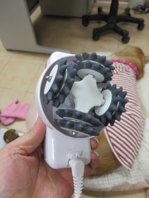 ファイル 4062-1.jpg