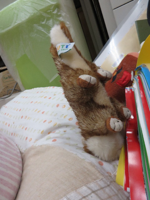 ファイル 4062-5.jpg