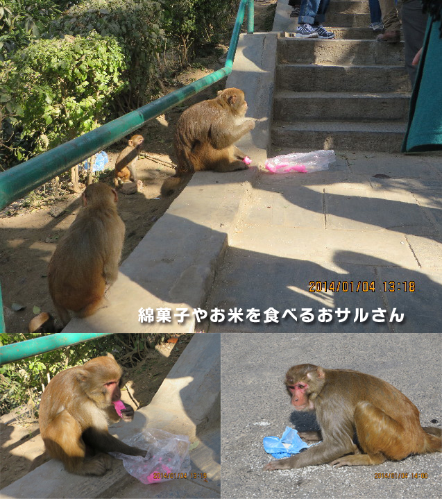 ファイル 4067-1.jpg