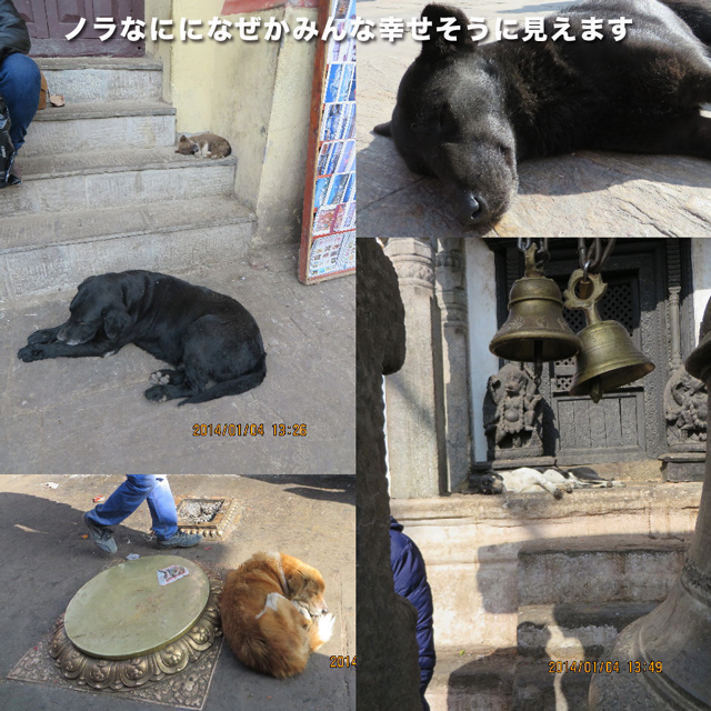 ファイル 4068-2.jpg