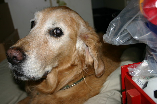 ファイル 407-2.jpg