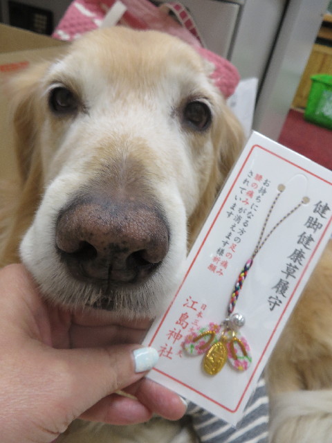 ファイル 4079-4.jpg