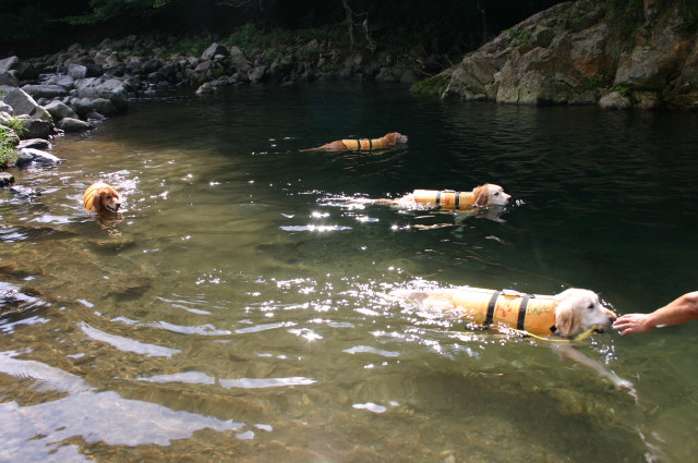 ファイル 408-2.jpg