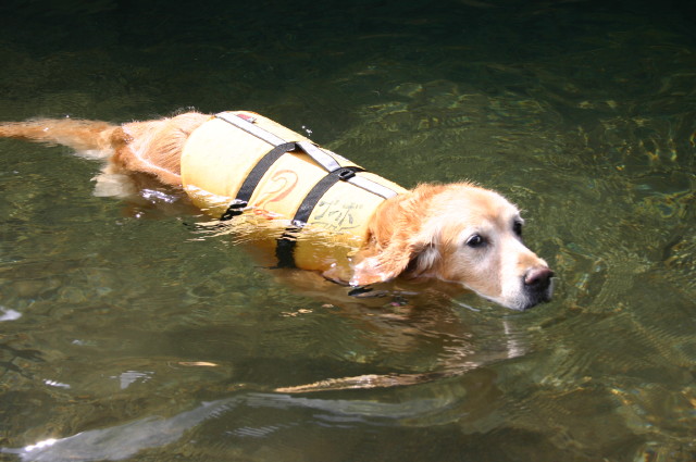 ファイル 408-4.jpg