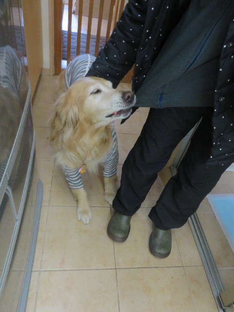 ファイル 4080-1.jpg