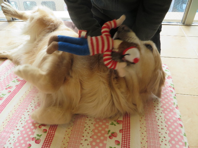 ファイル 4080-3.jpg