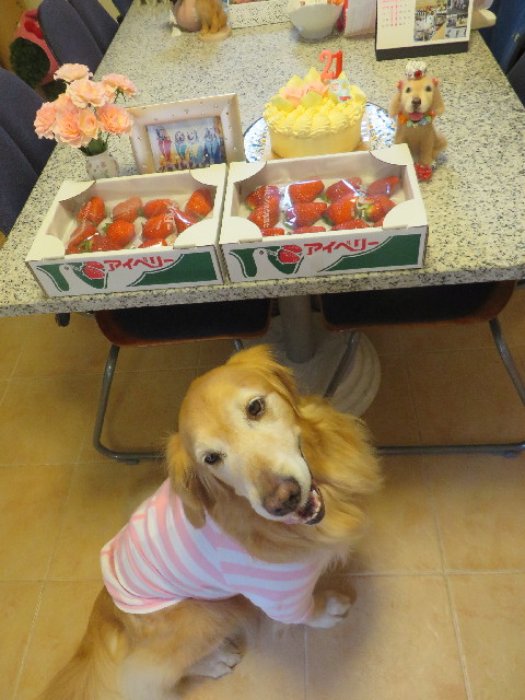 ファイル 4081-2.jpg