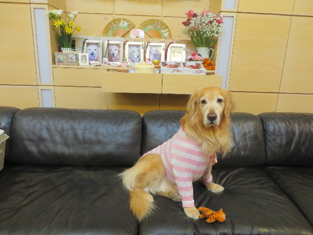 ファイル 4081-3.jpg