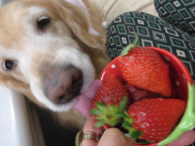 ファイル 4081-4.jpg