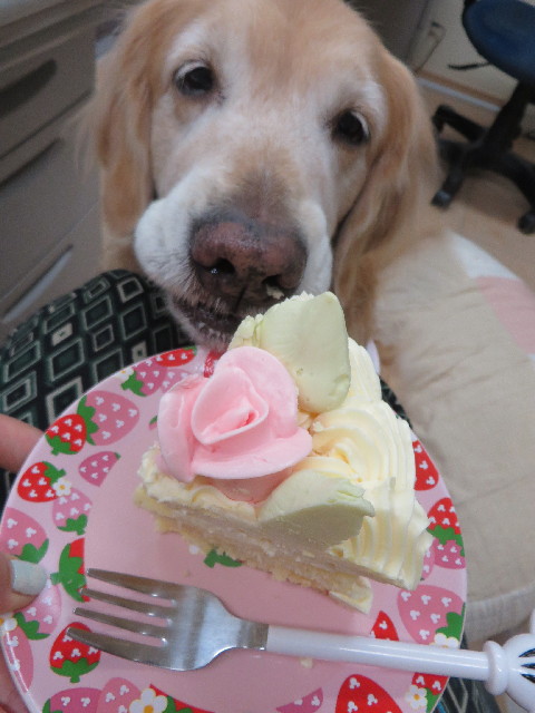 ファイル 4081-5.jpg