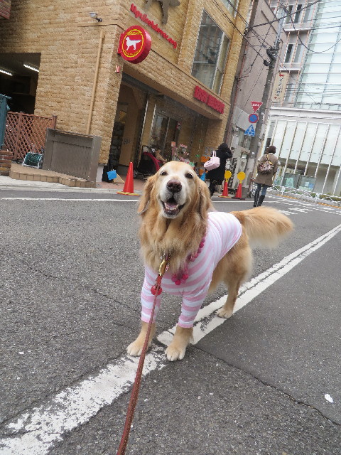 ファイル 4082-1.jpg