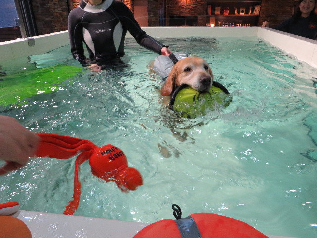 ファイル 4084-5.jpg