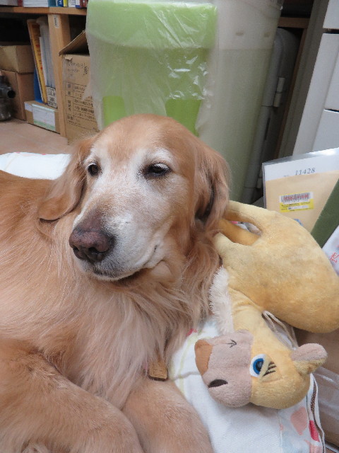 ファイル 4085-3.jpg