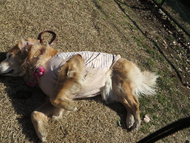 ファイル 4085-5.jpg