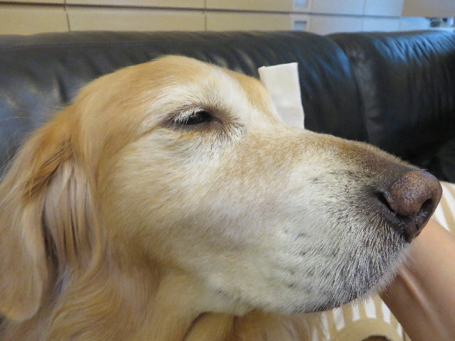 ファイル 4086-5.jpg