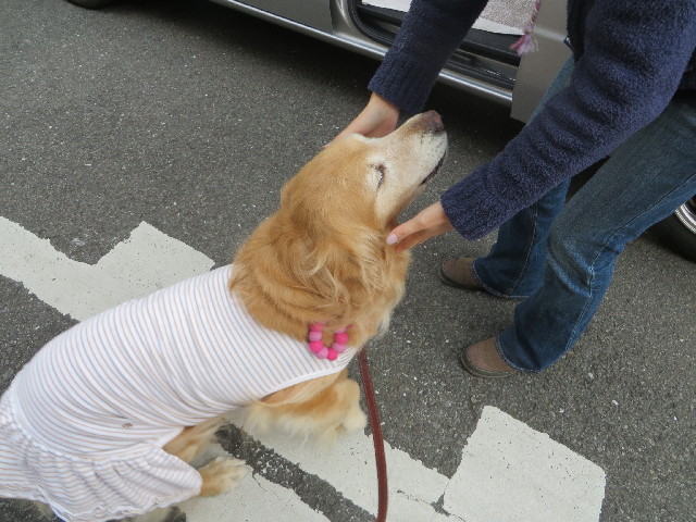 ファイル 4088-1.jpg