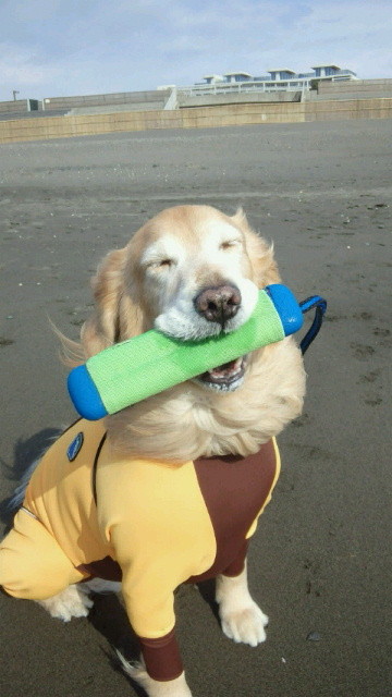 ファイル 4088-2.jpg