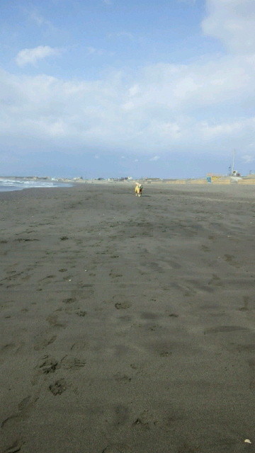 ファイル 4088-3.jpg